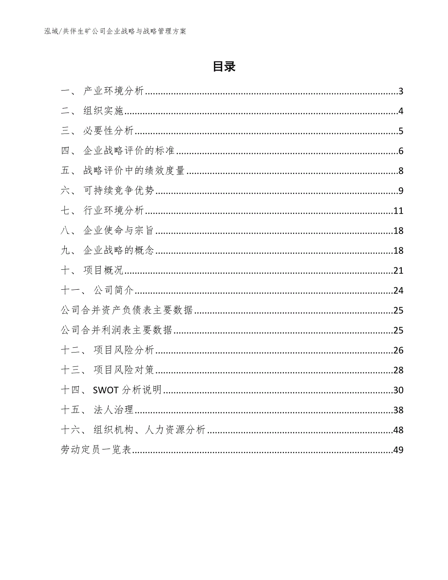 共伴生矿公司企业战略与战略管理方案_参考_第2页