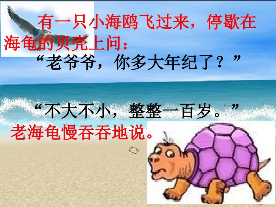 老海龟的悲剧_第3页