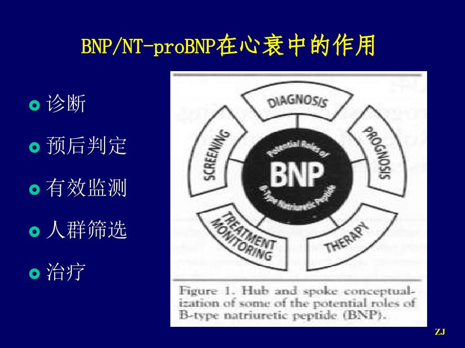 BNPNTproBNP监测在心力衰竭诊治中的应用课件_第2页