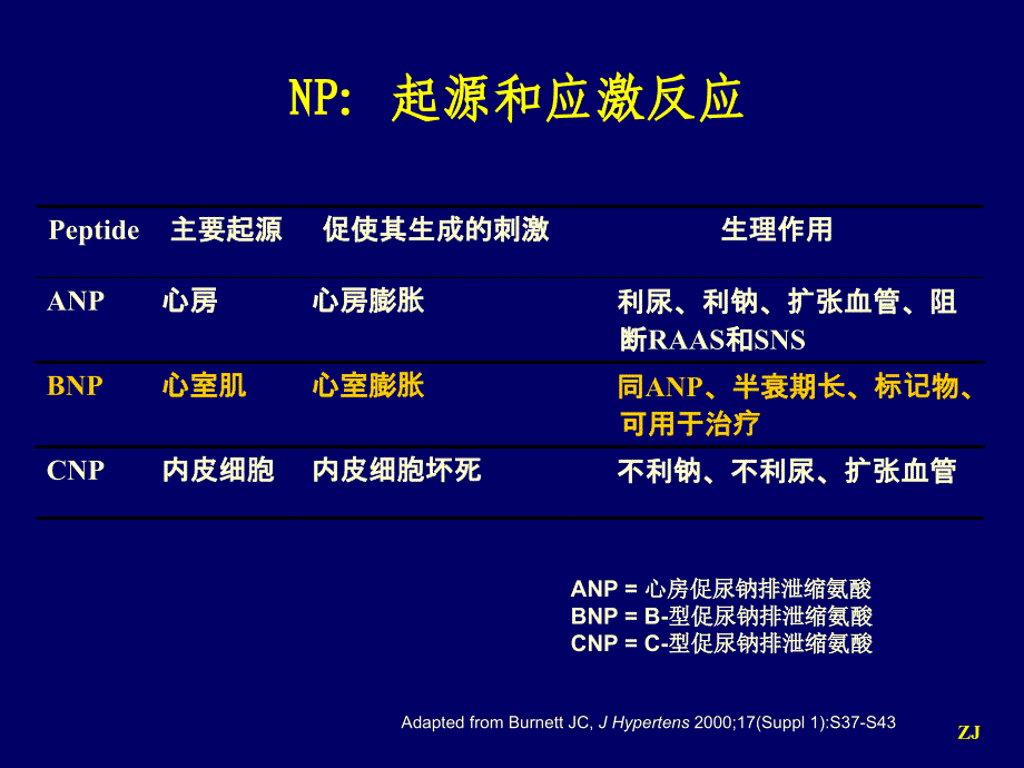 BNPNTproBNP监测在心力衰竭诊治中的应用课件_第4页