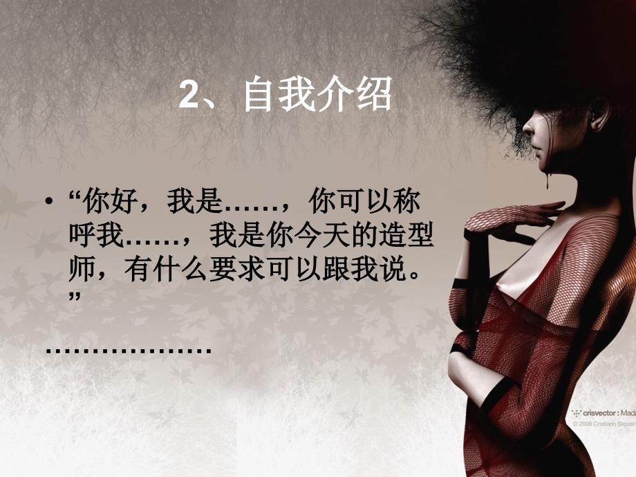 影楼工作流程PPT53页_第4页