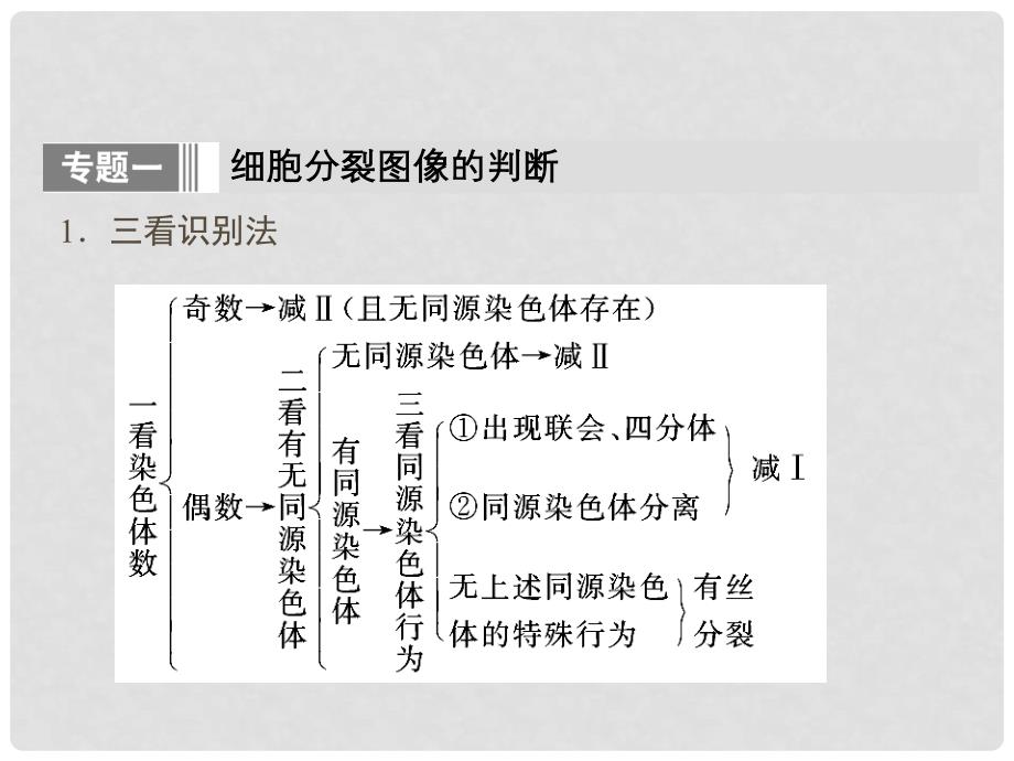 高中生物 第2章 基因和染色体的关系单元高效整合课件 新人教版必修2_第3页