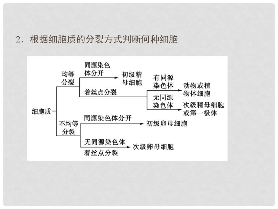 高中生物 第2章 基因和染色体的关系单元高效整合课件 新人教版必修2_第4页