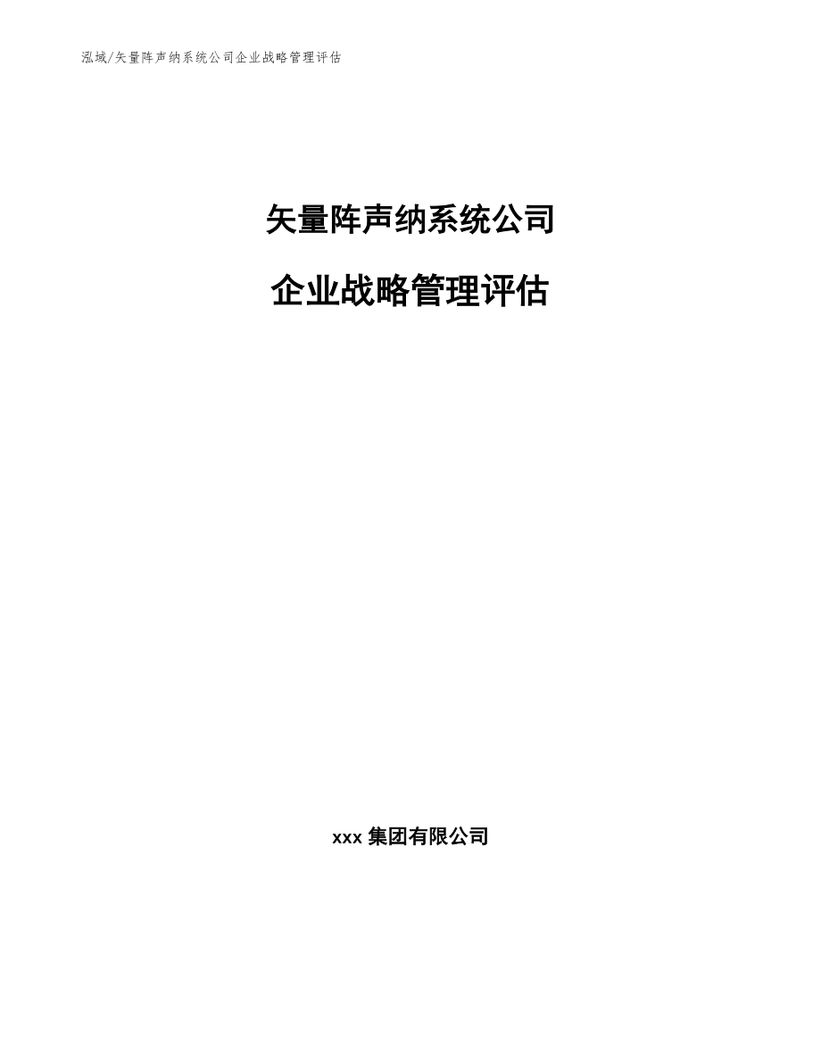 矢量阵声纳系统公司企业战略管理评估_范文_第1页