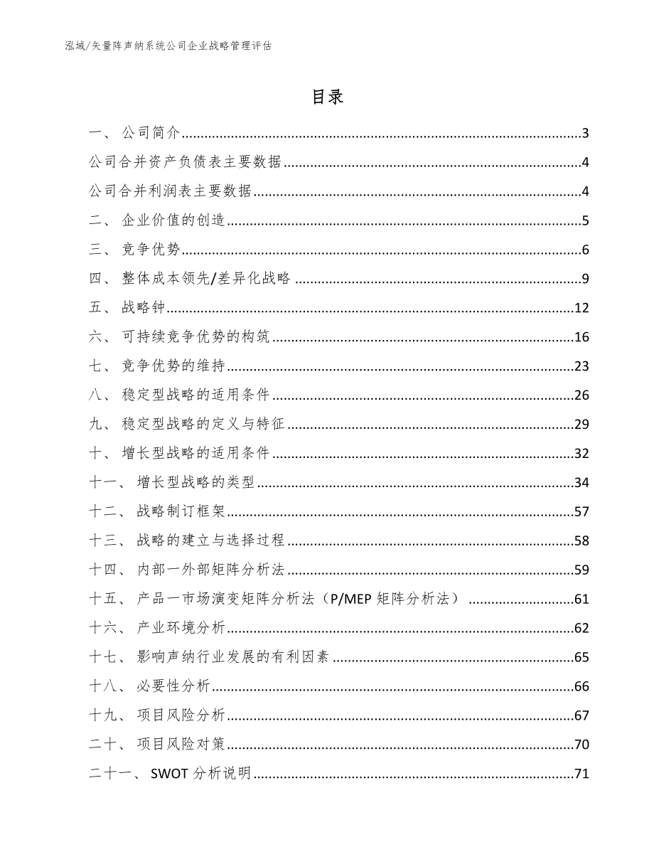 矢量阵声纳系统公司企业战略管理评估_范文_第2页