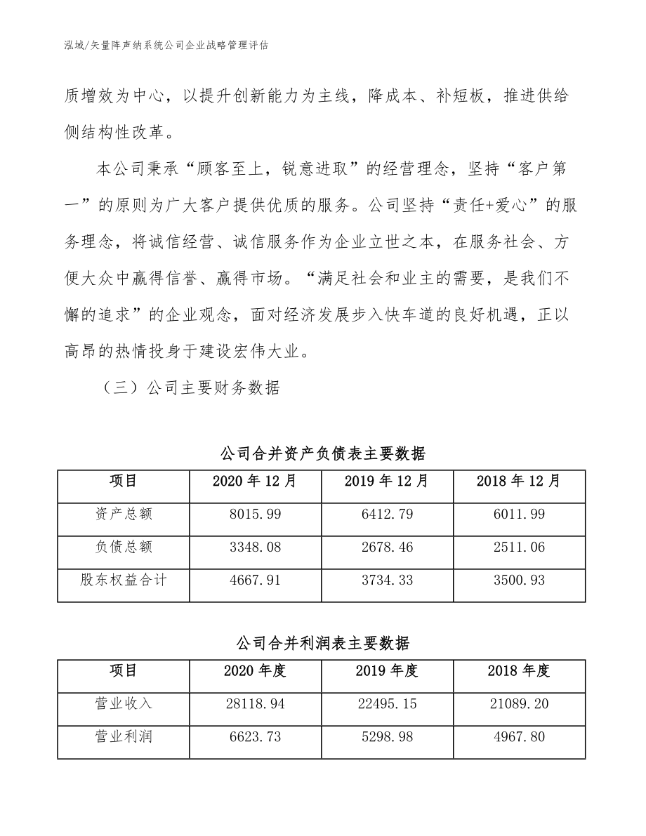 矢量阵声纳系统公司企业战略管理评估_范文_第4页