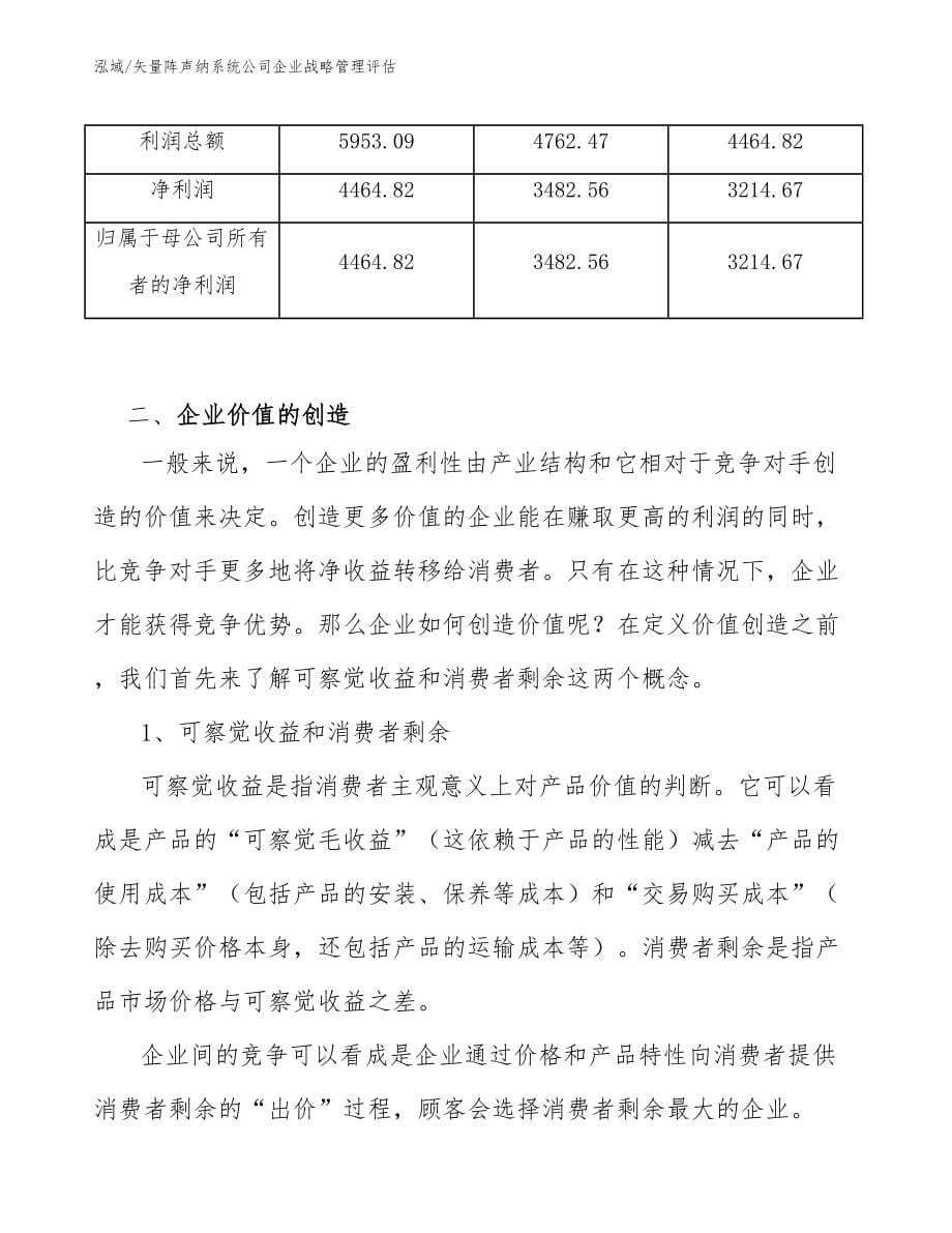 矢量阵声纳系统公司企业战略管理评估_范文_第5页