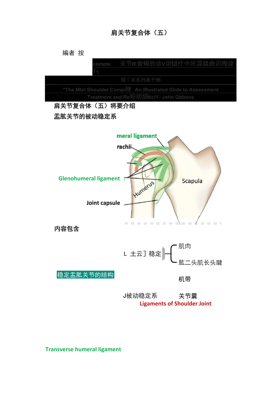 肩关节复合体（五）_第1页