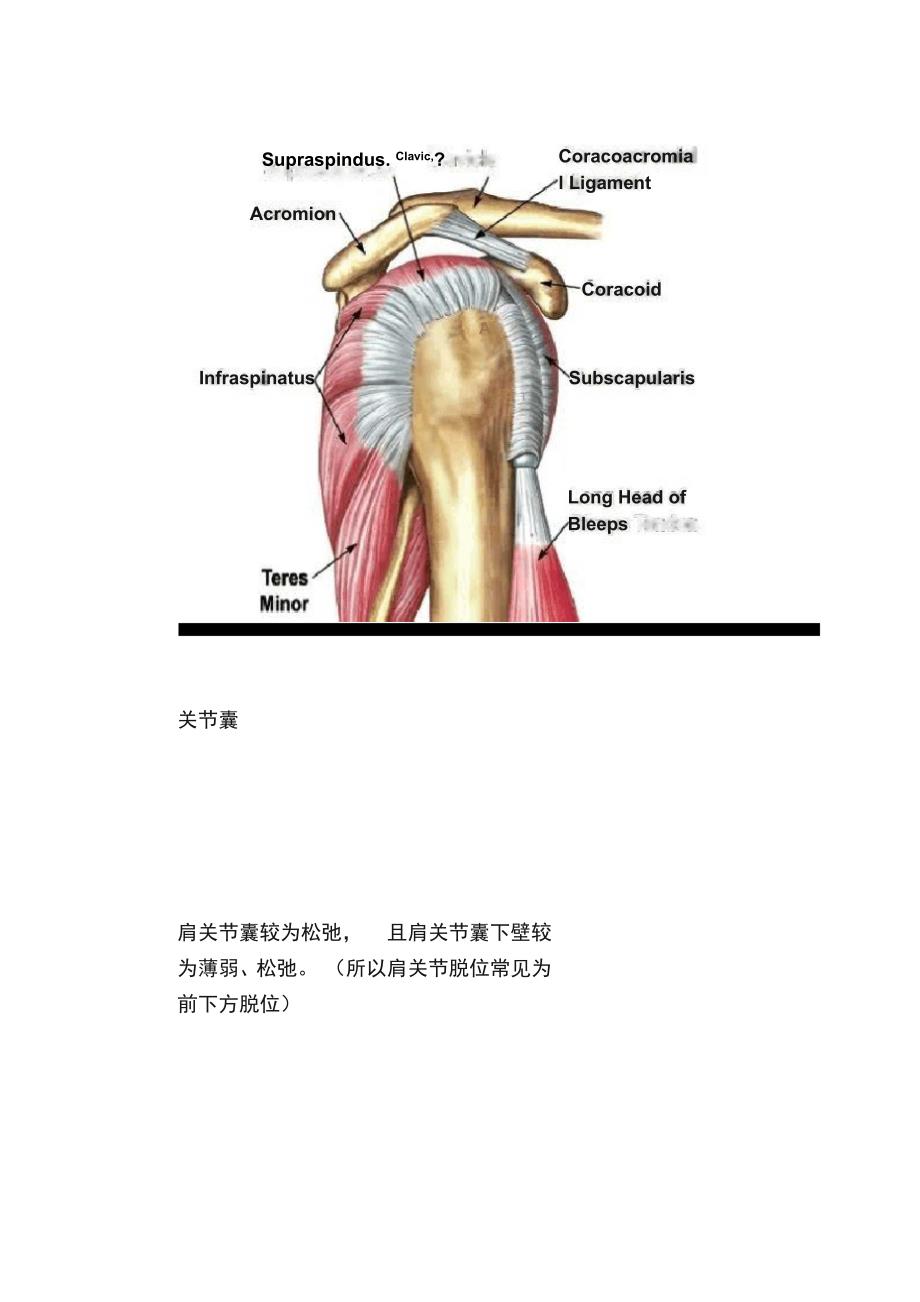 肩关节复合体（五）_第4页