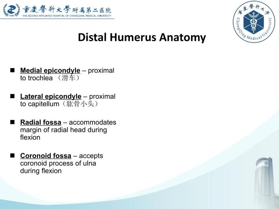 外科学教学课件：上肢骨折 Fracture of Upper Extremities-02_第5页