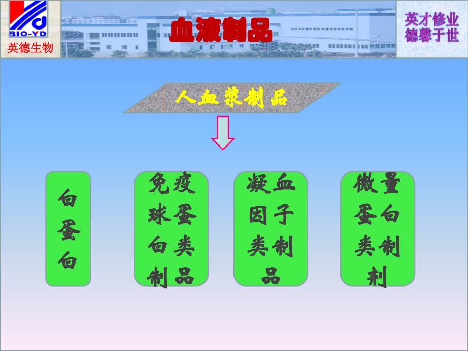 血液制品生产工艺框图幻灯片2_第4页