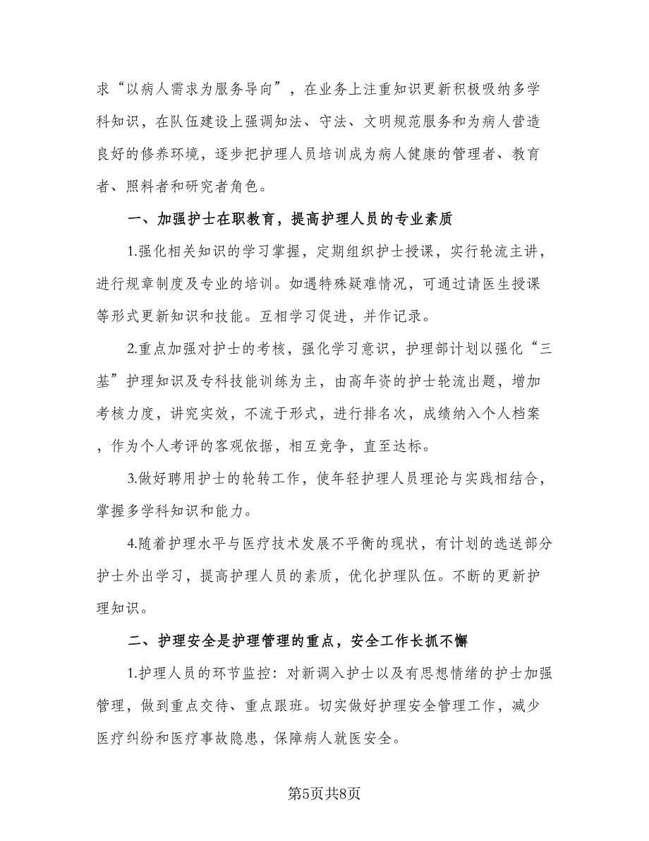 护理人员的工作计划标准样本（三篇）.doc_第5页