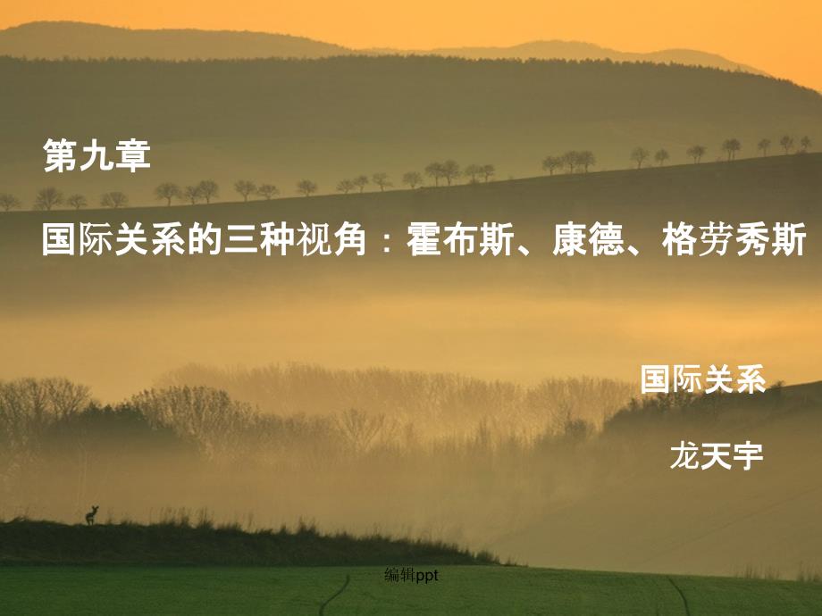国际关系的三种视角霍布斯康德格劳秀斯_第1页
