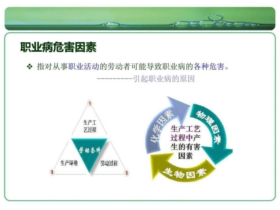 职业危害及健康培训图文_第5页