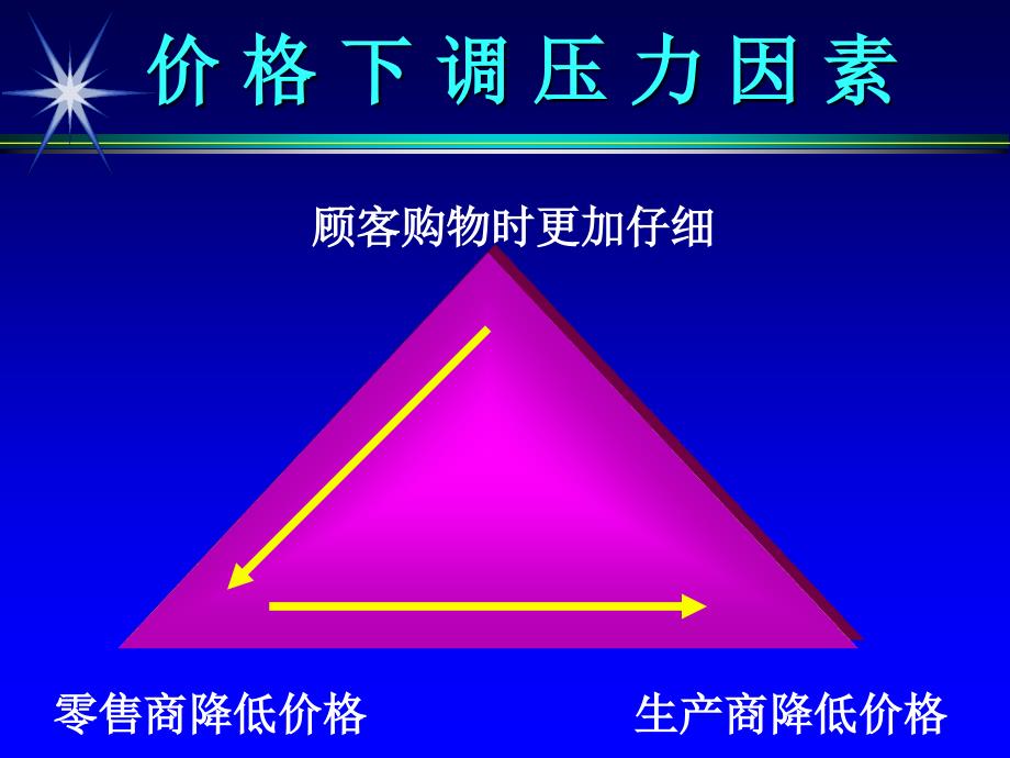 MKT价格和渠道策略_第2页