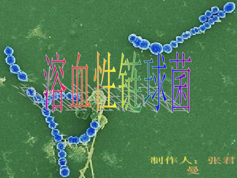 溶血性链球菌课件_第1页