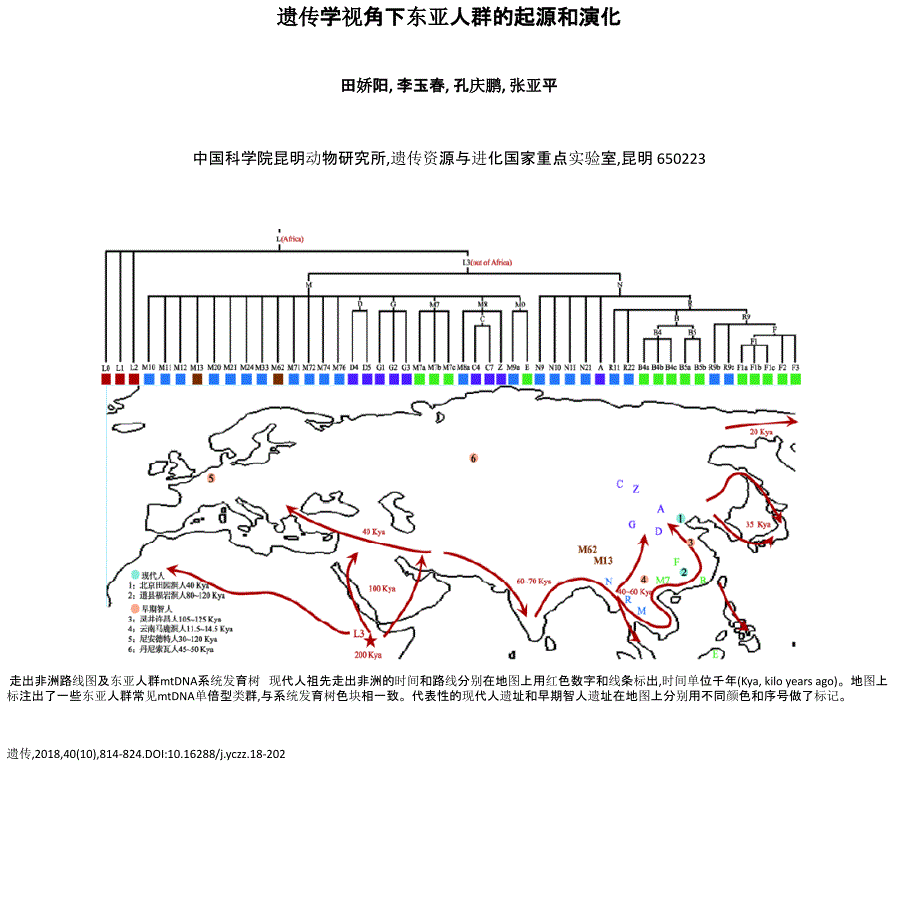 遗传学视角下东亚人群的起源和演化_第1页