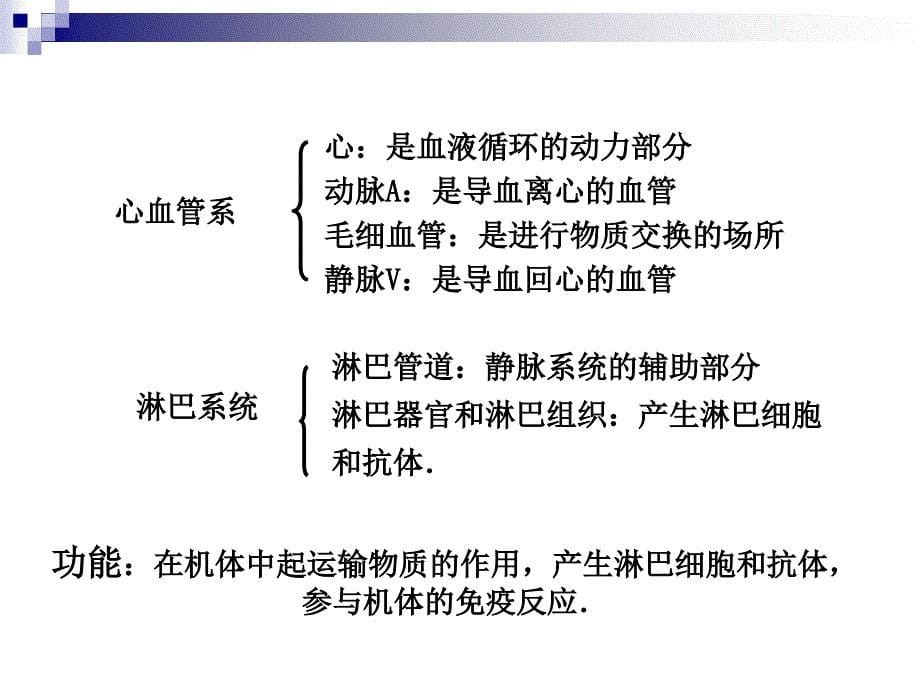 解剖生理学第六章循环系统 ppt课件_第5页