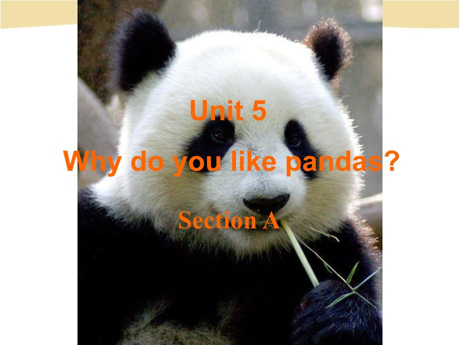 七下英语unit5whydoyoulikepandasSectionA_第3页