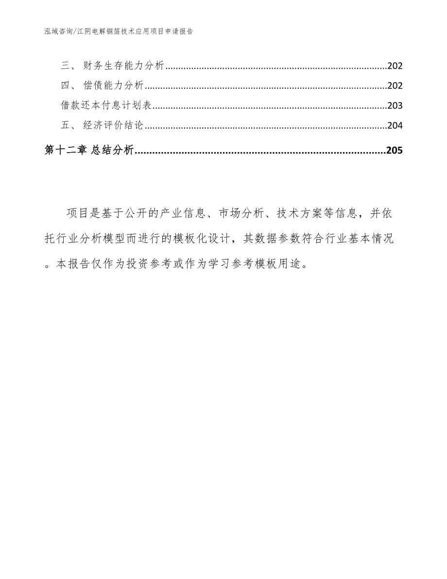 江阴电解铜箔技术应用项目申请报告_模板范文_第5页