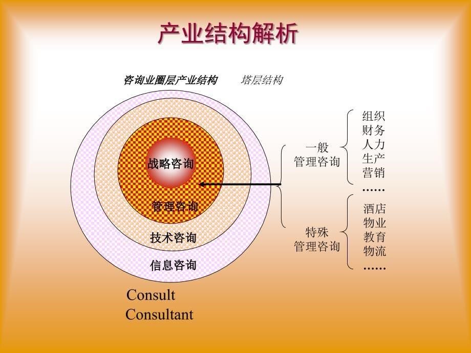 管理顾问操作实务课件_第5页