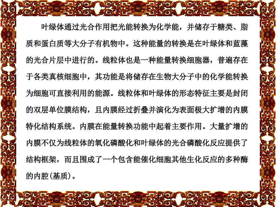 6细胞的能量转换线粒体和叶绿体92精选文档_第1页