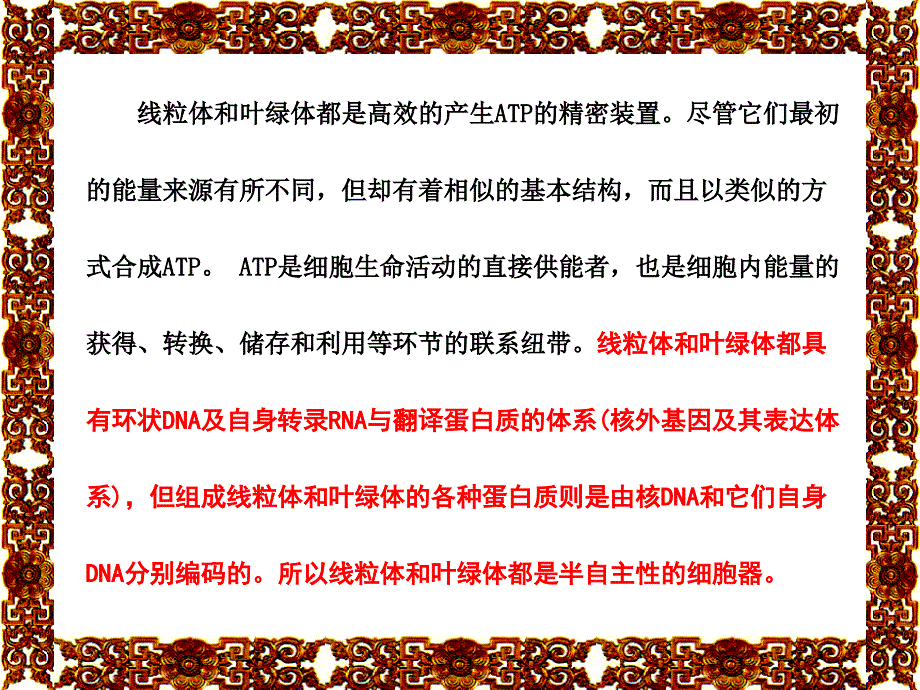 6细胞的能量转换线粒体和叶绿体92精选文档_第2页