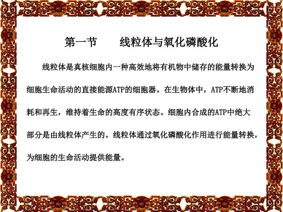 6细胞的能量转换线粒体和叶绿体92精选文档_第3页