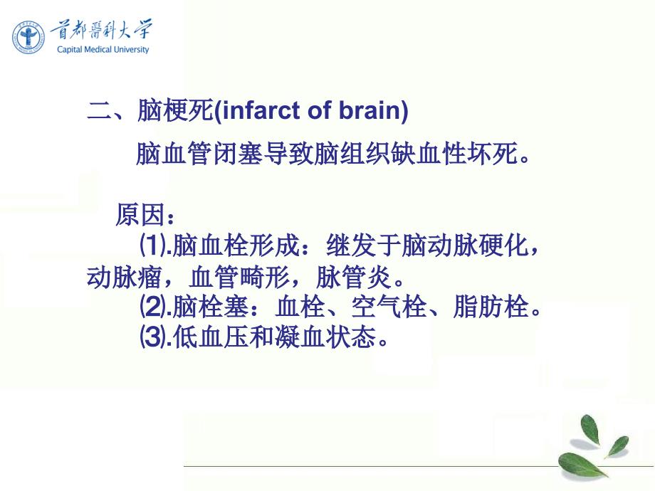 《影像诊断学》教学课件：中枢神经系统-5_第2页