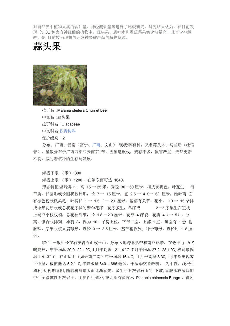蒜头果简介_第1页