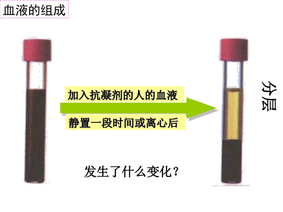 人教版生物七年级下册第四章第一节《流动的组织——血液》课件_第4页