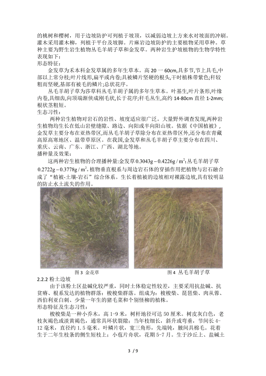 双长公路生态边坡设计 哈工大_第3页