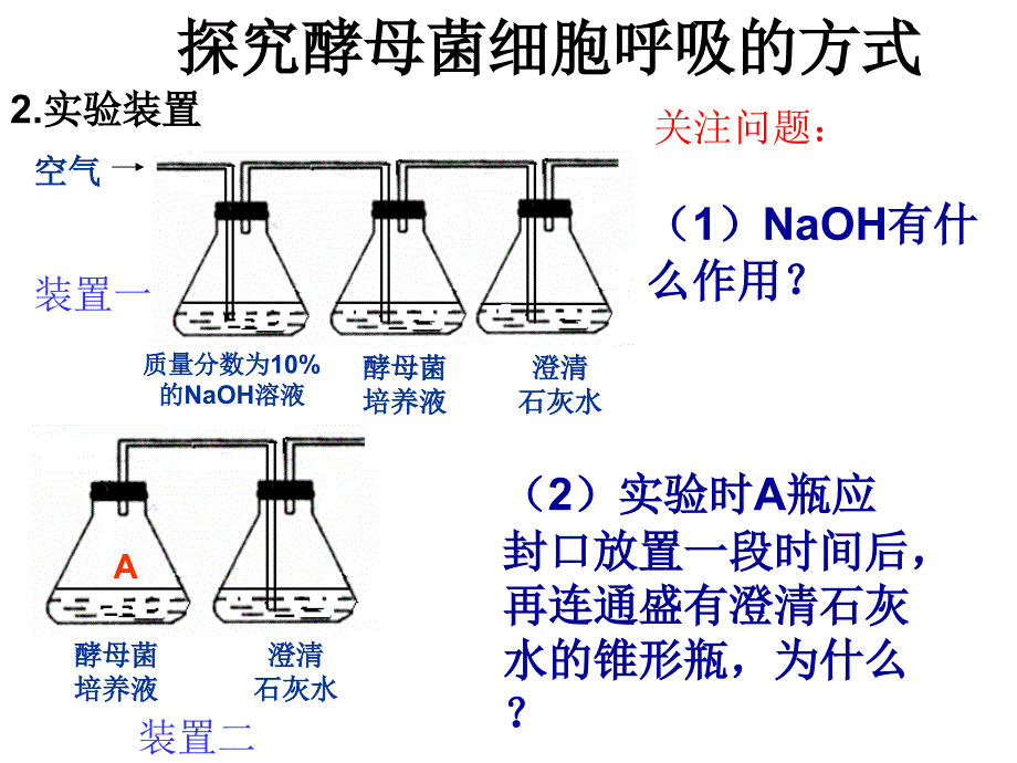 一轮复习细胞呼吸实用简化版ppt课件_第4页