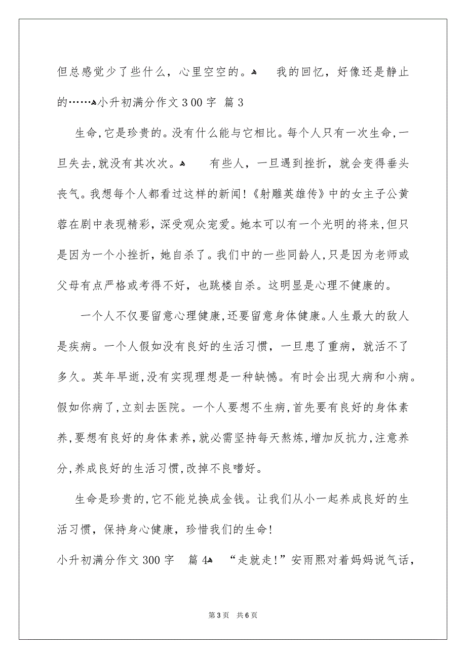 小升初满分作文300字6篇_第3页