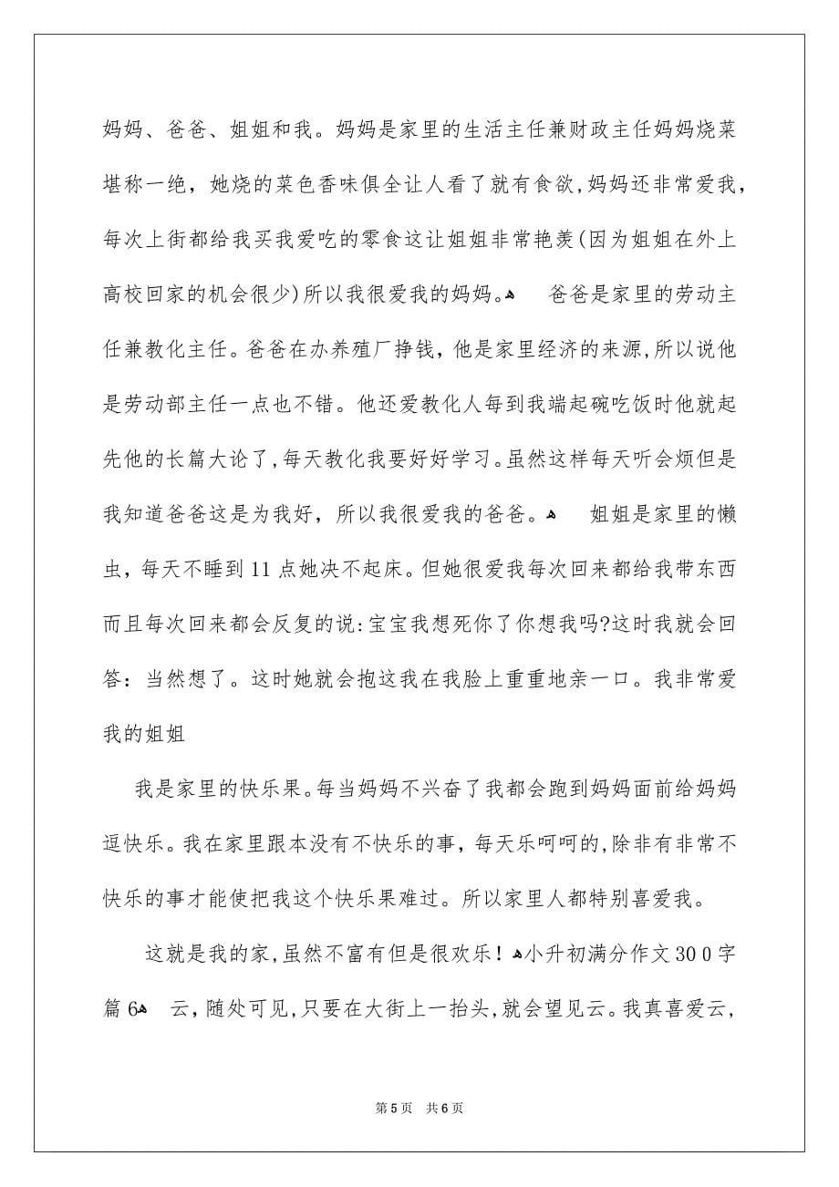 小升初满分作文300字6篇_第5页