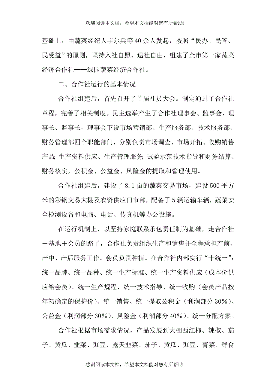 绿园蔬菜经济调查报告_第2页