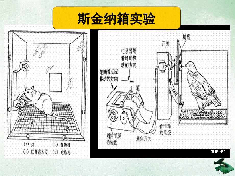 护理教学的心理学基础第学时讲解授课课件_第4页