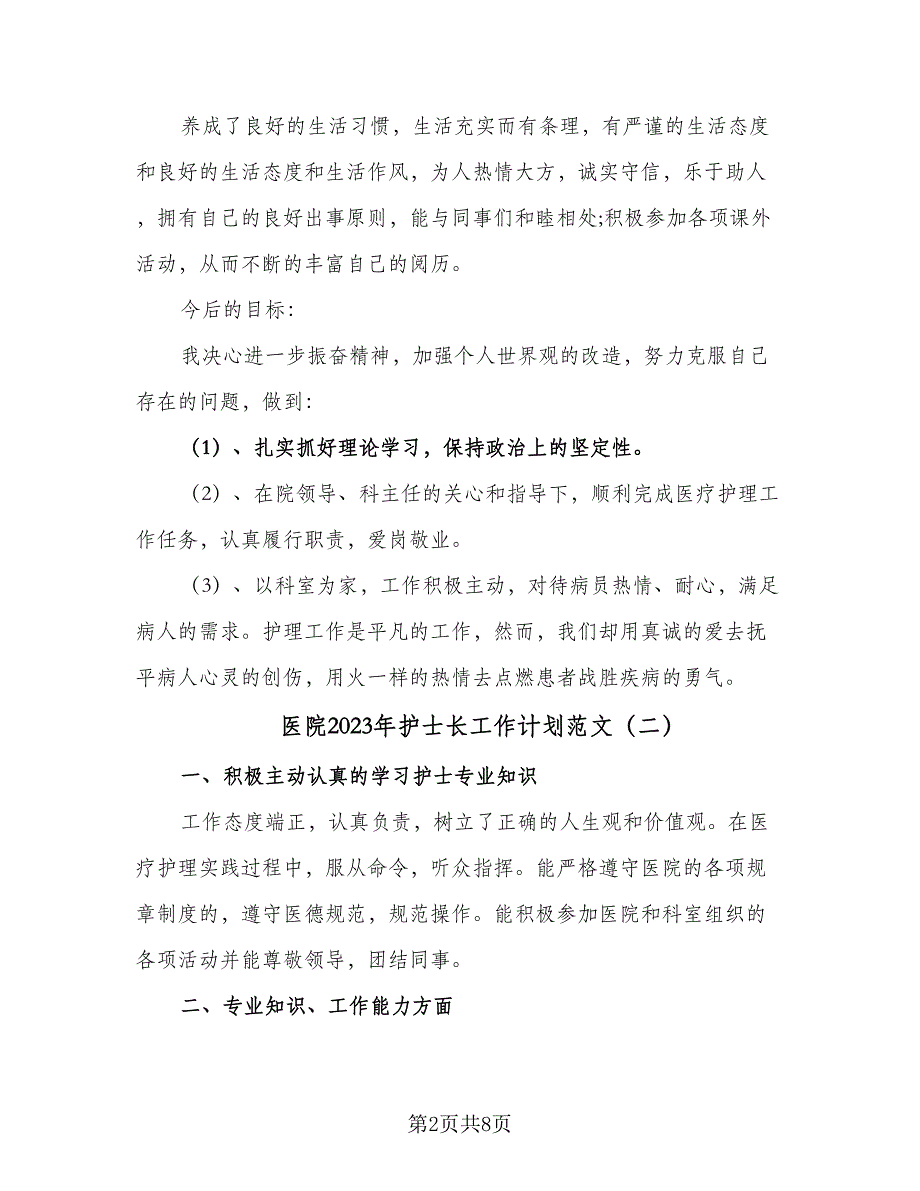 医院2023年护士长工作计划范文（四篇）_第2页