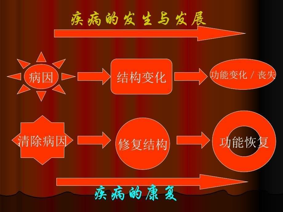 营养素、药物、疾病之间的关系2_第5页