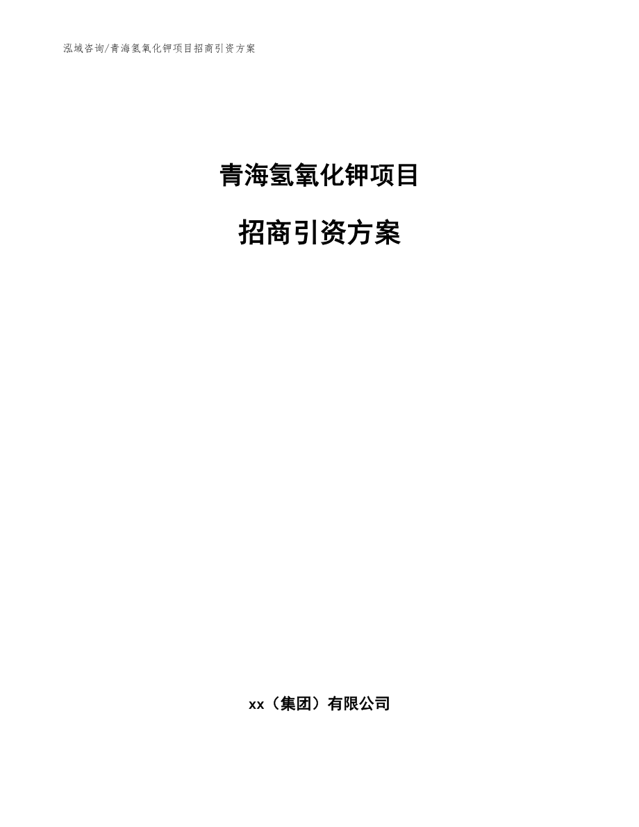 青海氢氧化钾项目招商引资方案（参考模板）_第1页