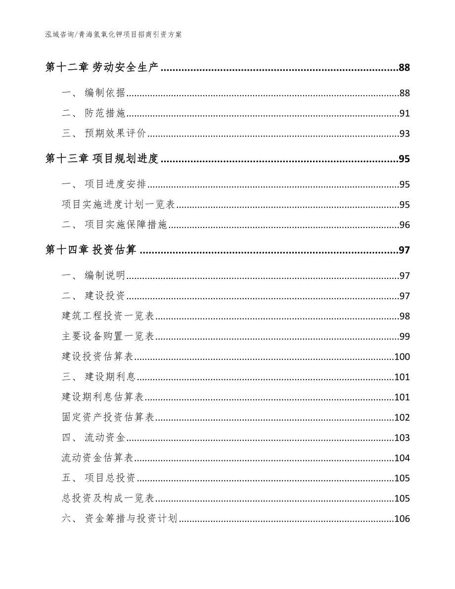 青海氢氧化钾项目招商引资方案（参考模板）_第5页