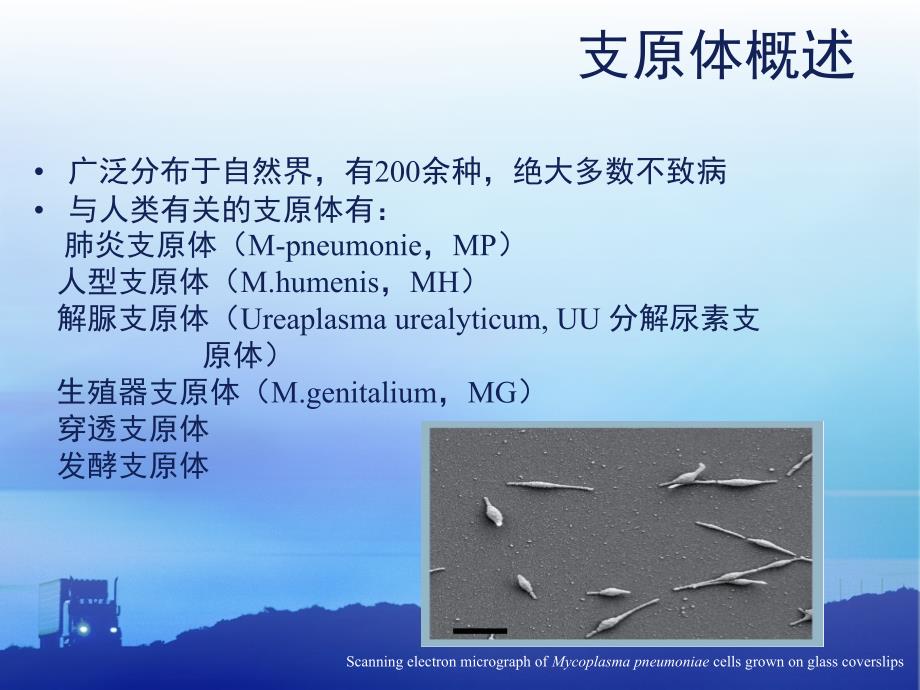 最新：支原体感染时炎症介质及干预后的变化ppt课件文档资料_第1页