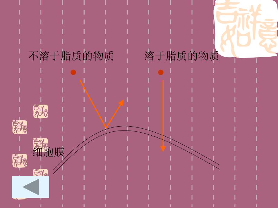 高一生物物质跨膜运输的方式ppt课件_第2页