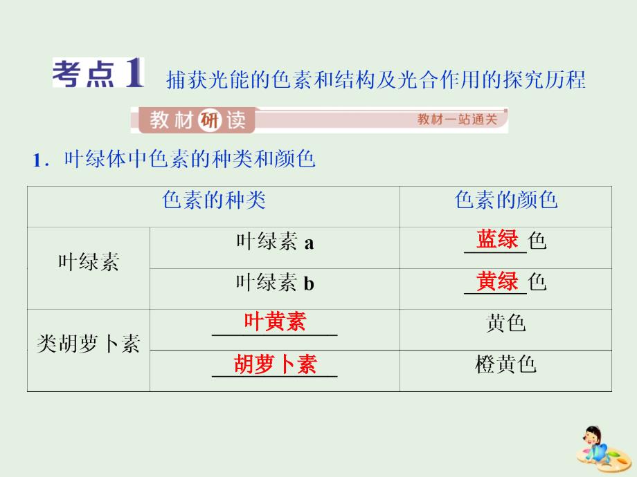 人教通用版版高考生物新探究大一轮复习第10讲光合作用的探究历程与基本过程课件_第3页