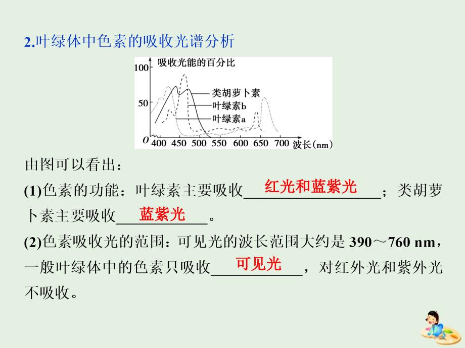 人教通用版版高考生物新探究大一轮复习第10讲光合作用的探究历程与基本过程课件_第4页