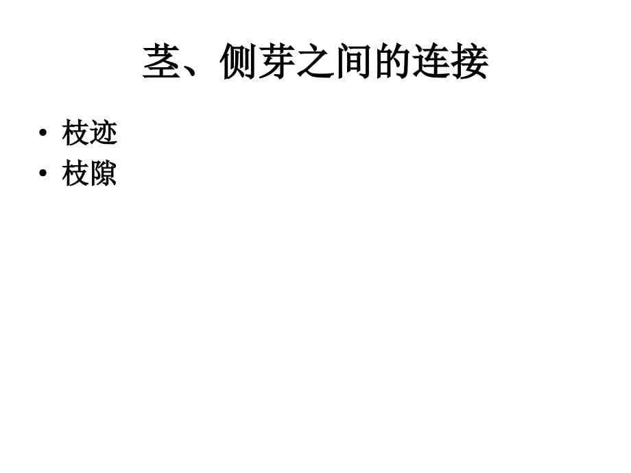 植物学教学课件：营养器官之间的连接_第5页