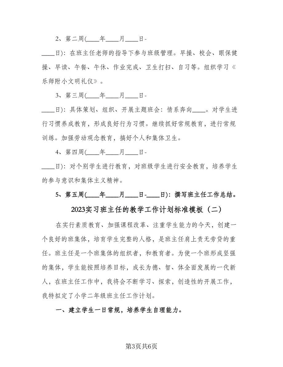 2023实习班主任的教学工作计划标准模板（二篇）_第3页