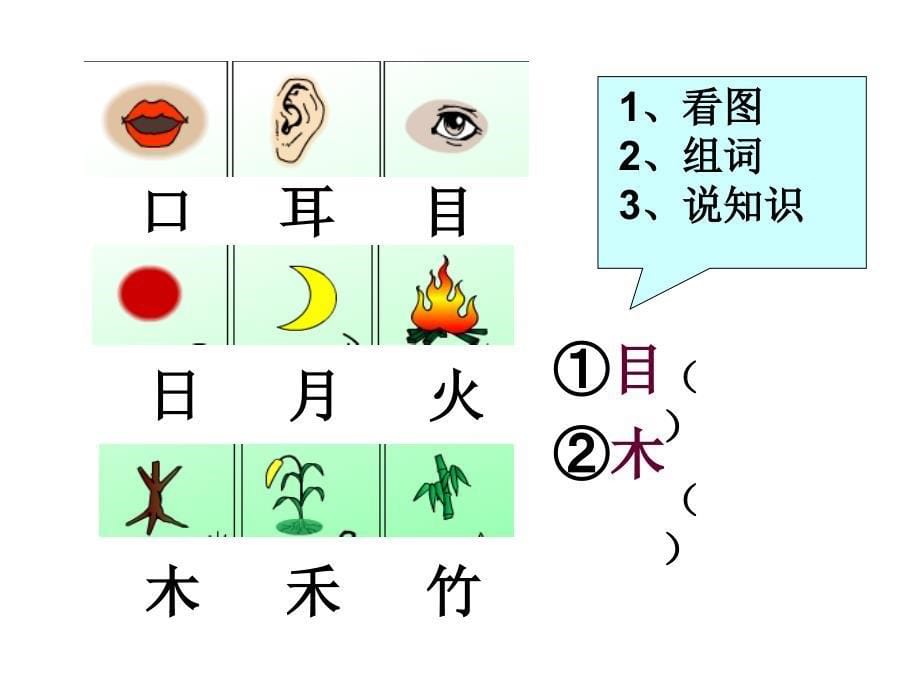 人教版小学语文课件口耳目_第5页