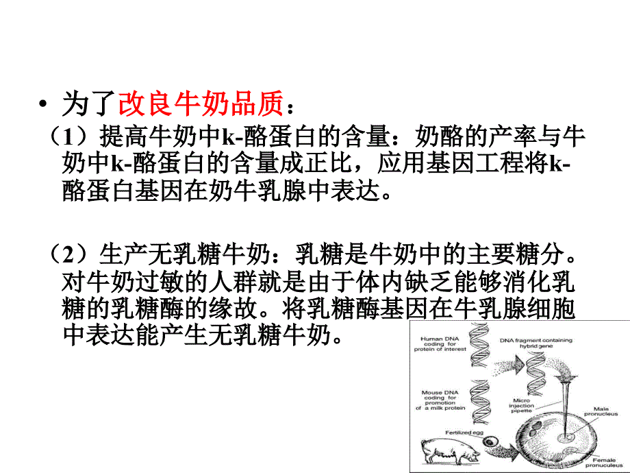 基因工程在食品科学中的应用PPT课件02_第4页