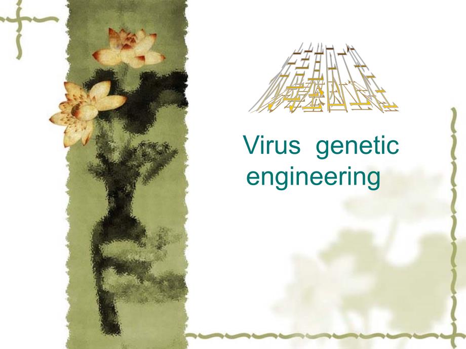 病毒基因工程_第1页